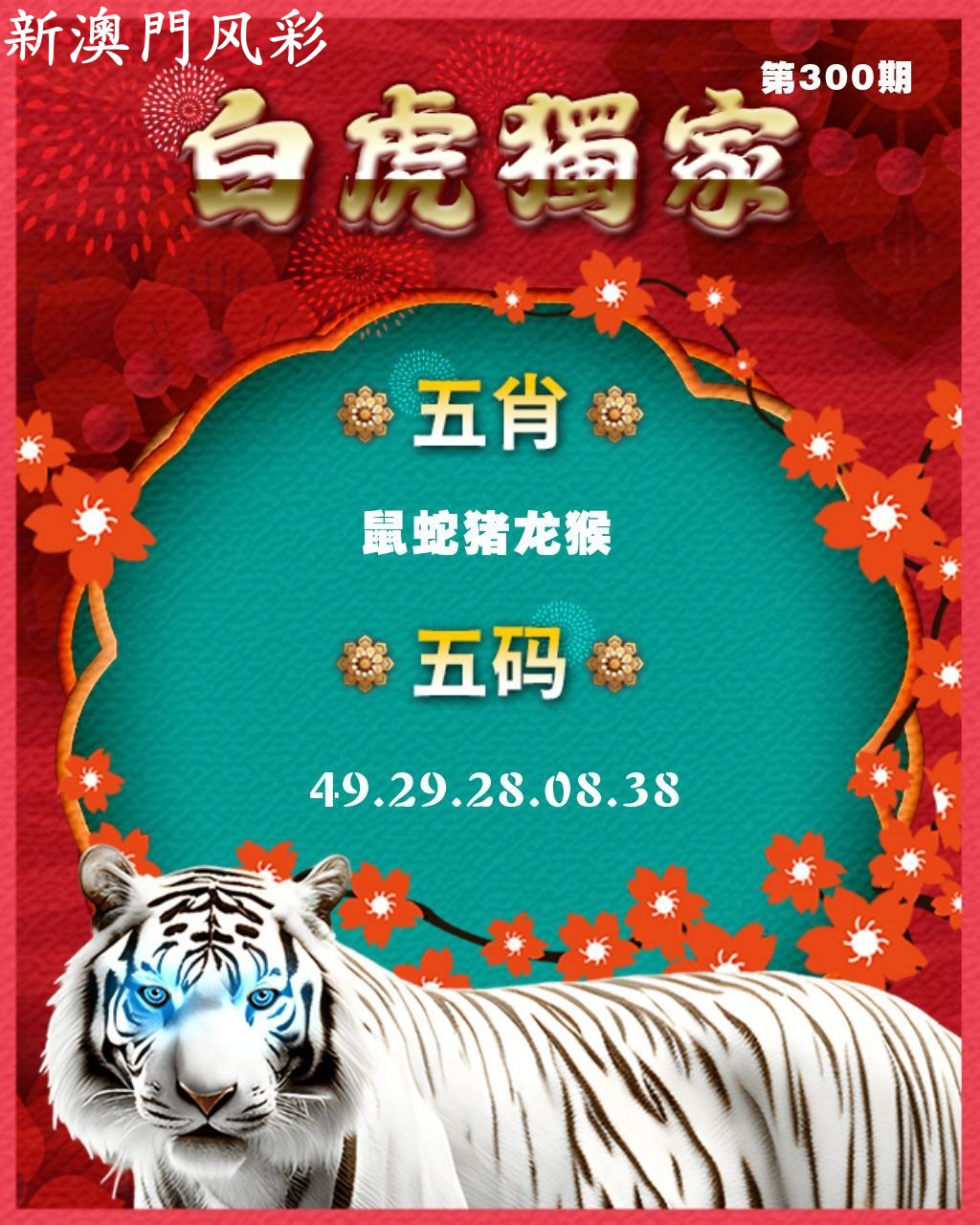 白虎独家特料