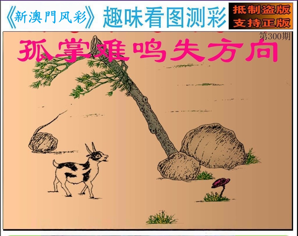 趣味测彩